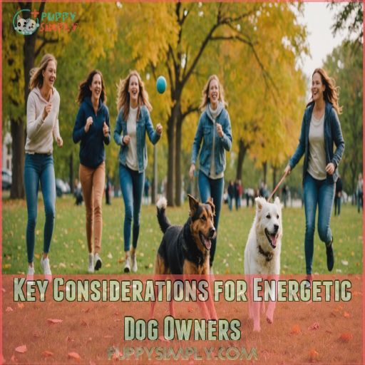 Key Considerations for Energetic Dog Owners