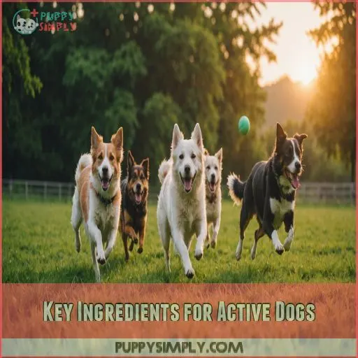 Key Ingredients for Active Dogs