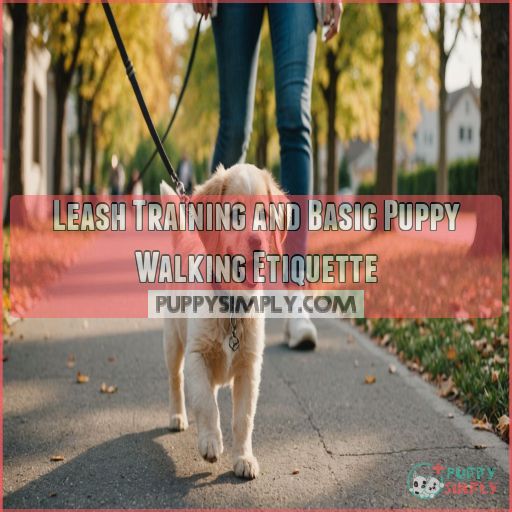 Leash Training and Basic Puppy Walking Etiquette