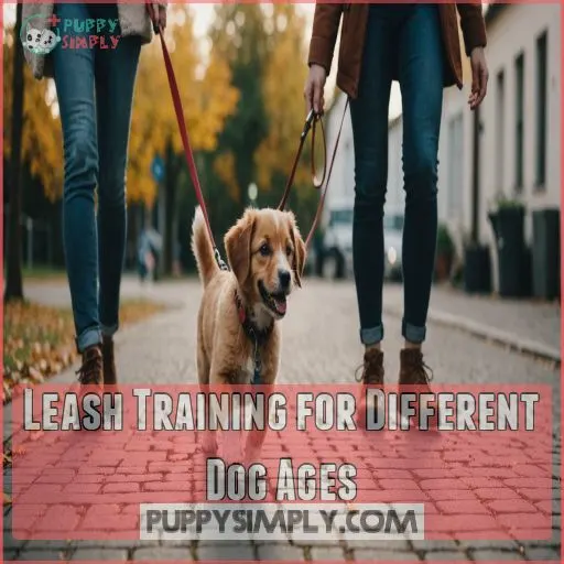 Leash Training for Different Dog Ages