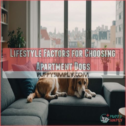 Lifestyle Factors for Choosing Apartment Dogs