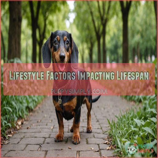 Lifestyle Factors Impacting Lifespan