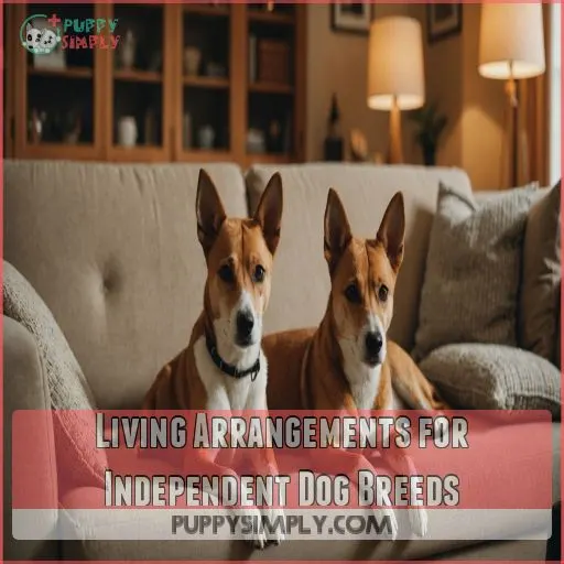 Living Arrangements for Independent Dog Breeds