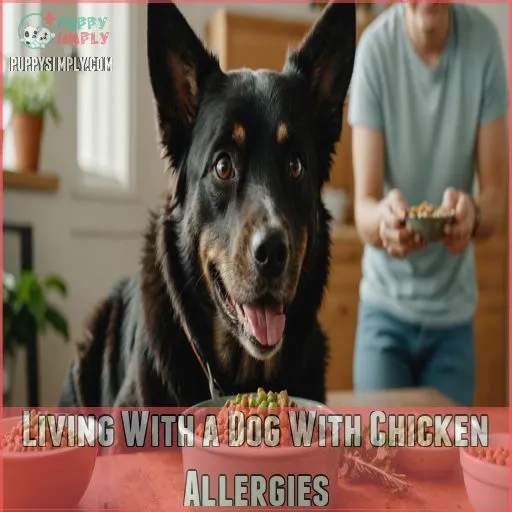 Living With a Dog With Chicken Allergies