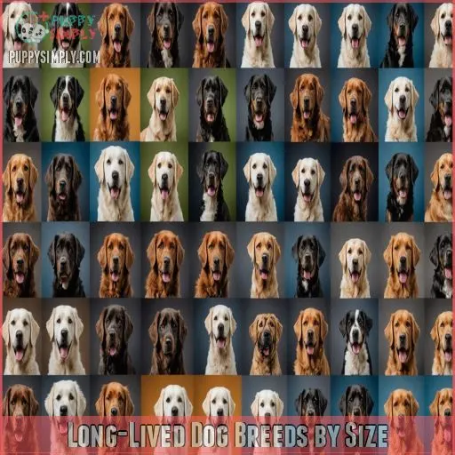 Long-Lived Dog Breeds by Size