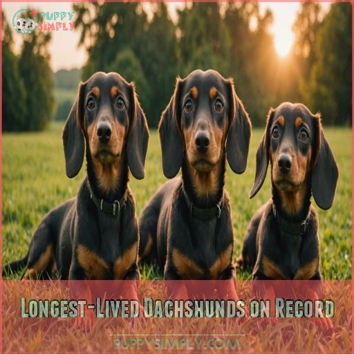 Longest-Lived Dachshunds on Record