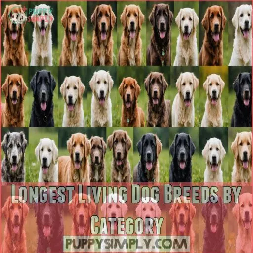 Longest Living Dog Breeds by Category