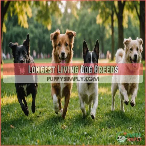 Longest Living Dog Breeds