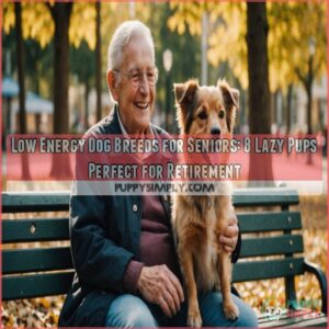 low energy dog breeds for seniors