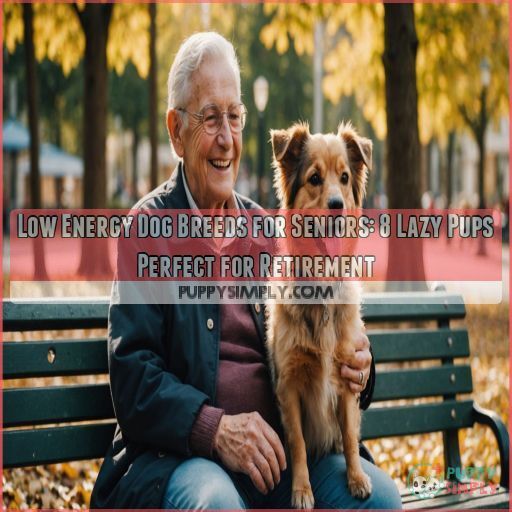 low energy dog breeds for seniors low energy dog breeds for seniors