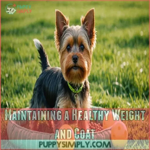 Maintaining a Healthy Weight and Coat