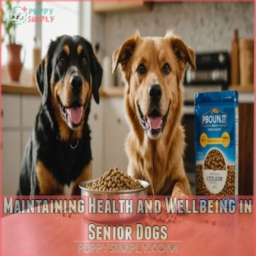 Maintaining Health and Wellbeing in Senior Dogs