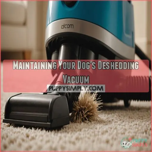 Maintaining Your Dog