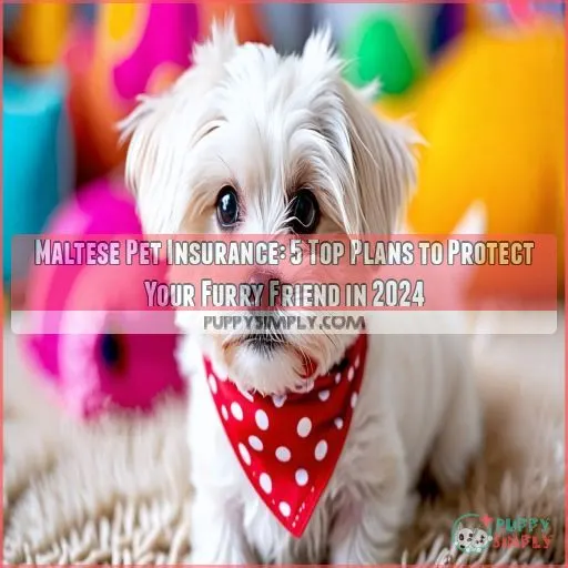 maltese pet insurance