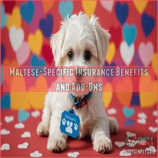 Maltese-Specific Insurance Benefits and Add-Ons