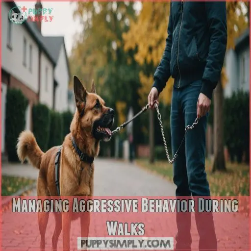 Managing Aggressive Behavior During Walks