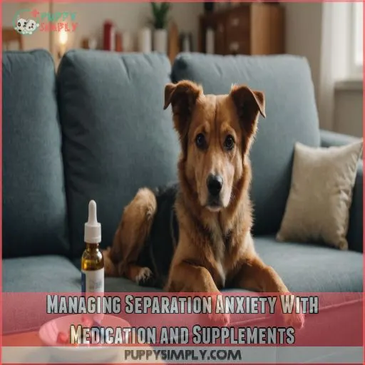 Managing Separation Anxiety With Medication and Supplements