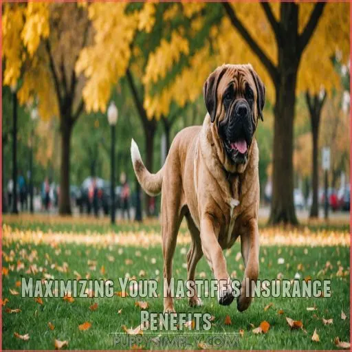 Maximizing Your Mastiff