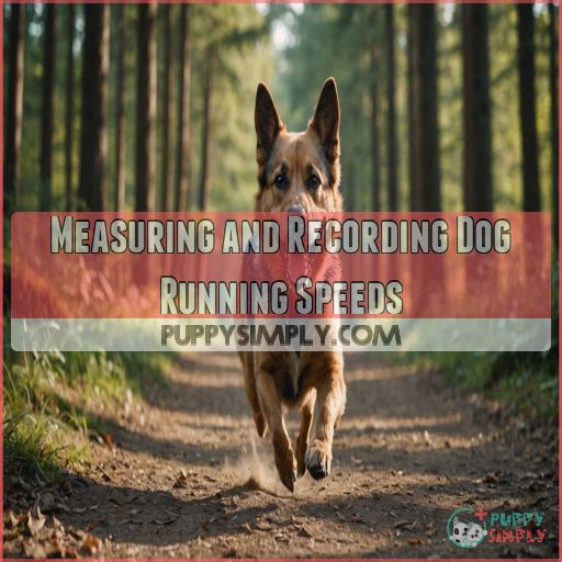 Measuring and Recording Dog Running Speeds