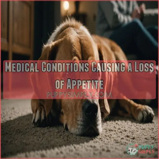 Medical Conditions Causing a Loss of Appetite