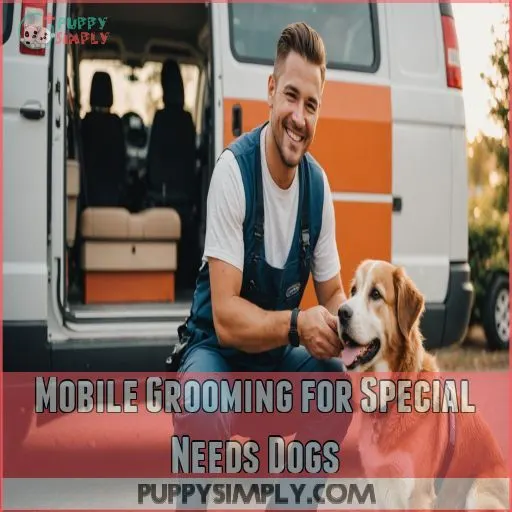 Mobile Grooming for Special Needs Dogs