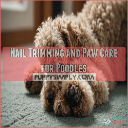 Nail Trimming and Paw Care for Poodles