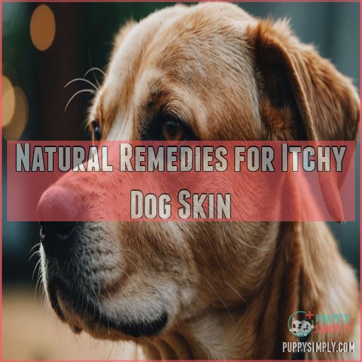 Natural Remedies for Itchy Dog Skin