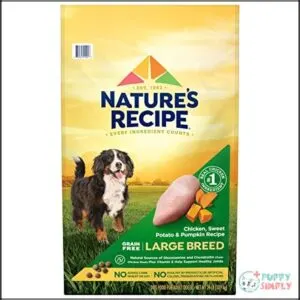 Nature’s Recipe Grain Free Large