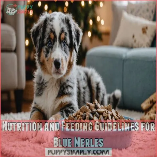 Nutrition and Feeding Guidelines for Blue Merles