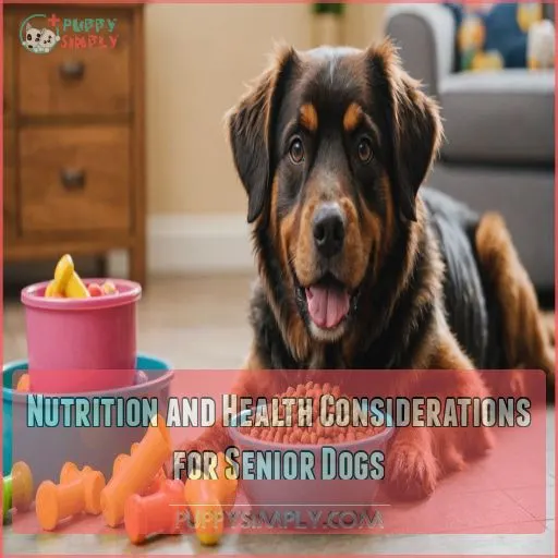 Nutrition and Health Considerations for Senior Dogs