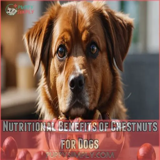 Nutritional Benefits of Chestnuts for Dogs