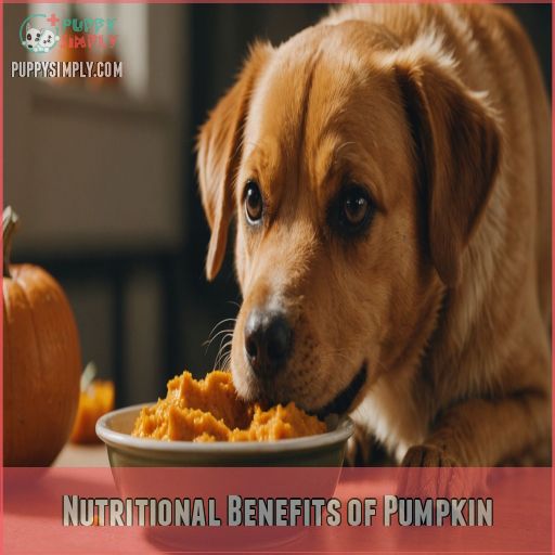 Nutritional Benefits of Pumpkin