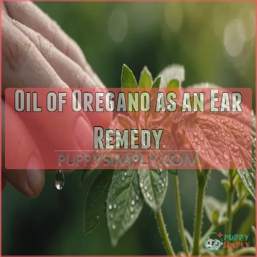 Oil of Oregano as an Ear Remedy