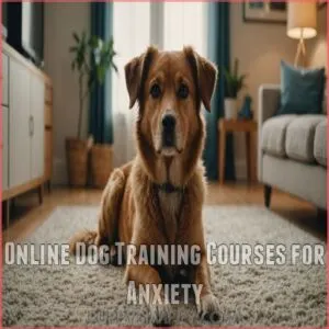 Online Dog Training Courses for Anxiety