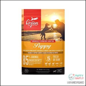 ORIJEN Puppy Dry Dog Food,