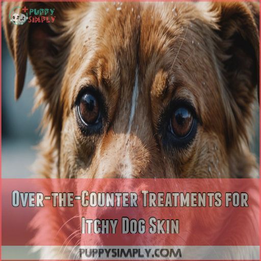 Over-the-Counter Treatments for Itchy Dog Skin