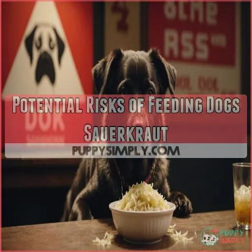 Potential Risks of Feeding Dogs Sauerkraut