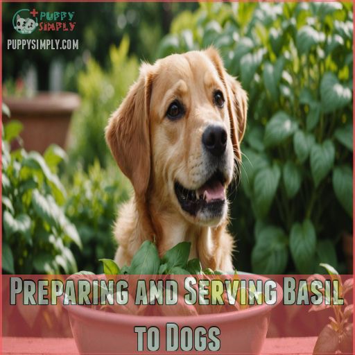 Preparing and Serving Basil to Dogs