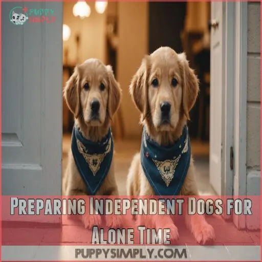 Preparing Independent Dogs for Alone Time