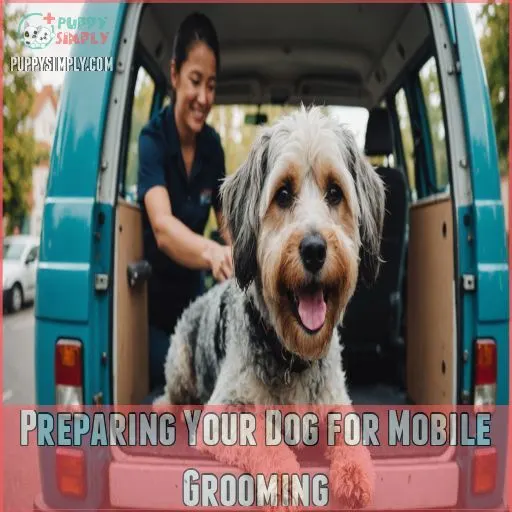 Preparing Your Dog for Mobile Grooming