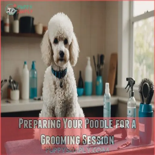 Preparing Your Poodle for a Grooming Session