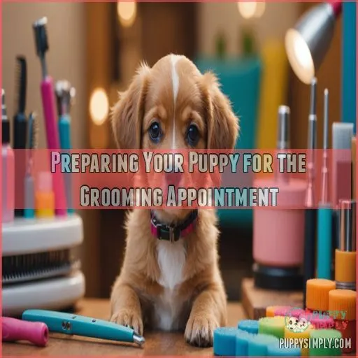 Preparing Your Puppy for the Grooming Appointment