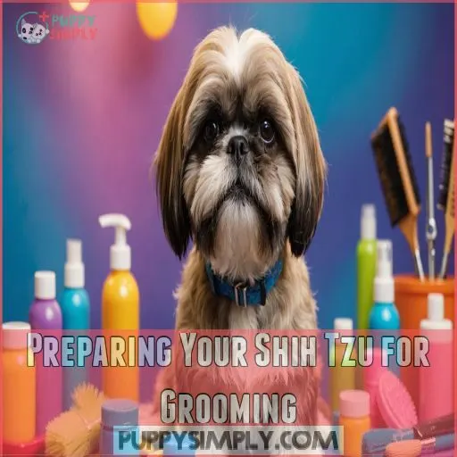 Preparing Your Shih Tzu for Grooming