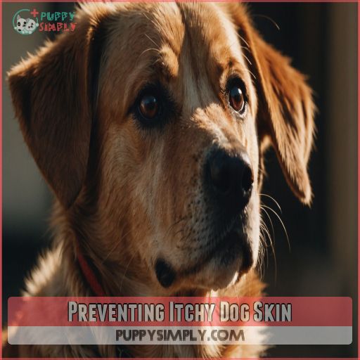 Preventing Itchy Dog Skin