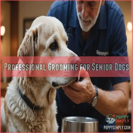 Professional Grooming for Senior Dogs