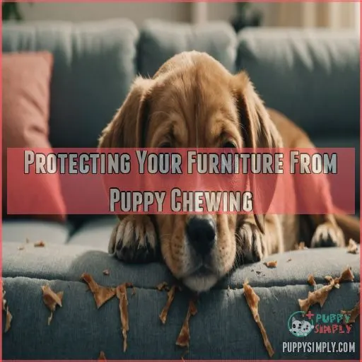 Protecting Your Furniture From Puppy Chewing