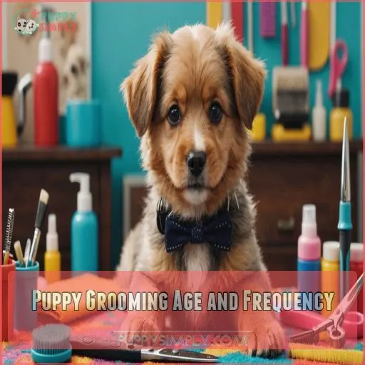 Puppy Grooming Age and Frequency