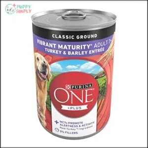 Purina ONE Plus Classic Ground