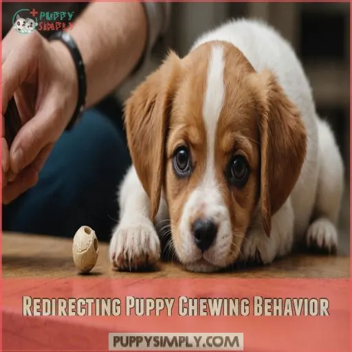 Redirecting Puppy Chewing Behavior