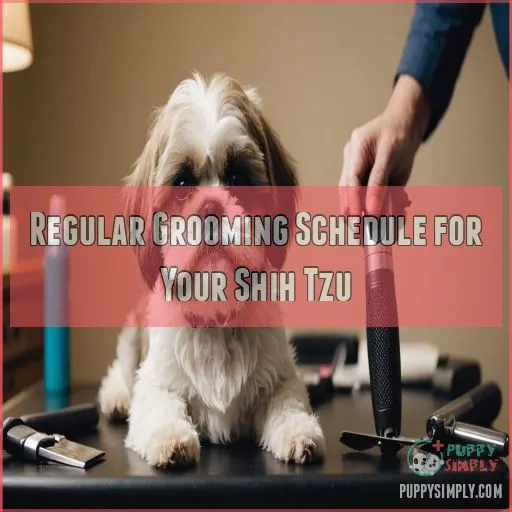 Regular Grooming Schedule for Your Shih Tzu